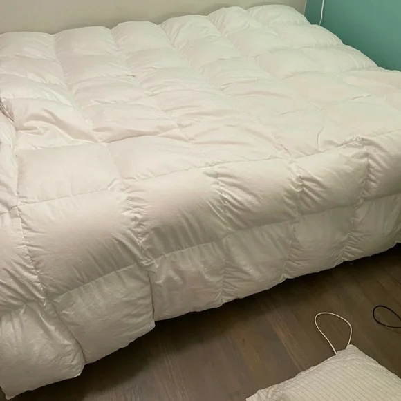 Snowe All Season Comforter - Queen